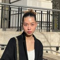 Mai Anh Vu