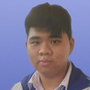 Anh Minh Luu